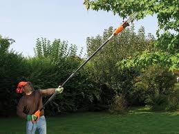 Black & Decker takkenzaag 800W PS7525-QS